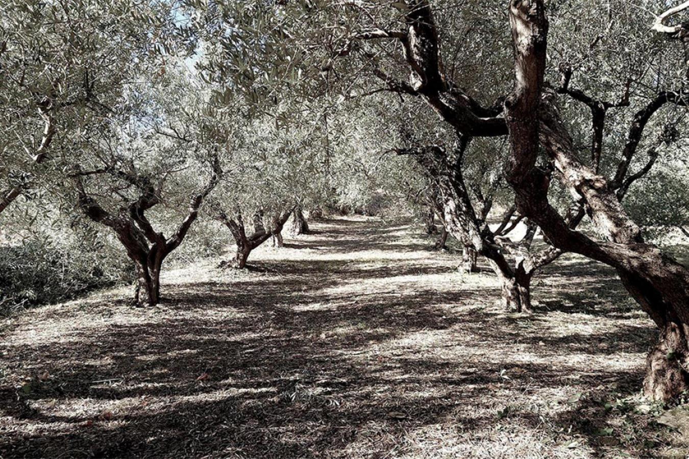 Montefano Bed And Breakfast La Vecchia Scuola מראה חיצוני תמונה