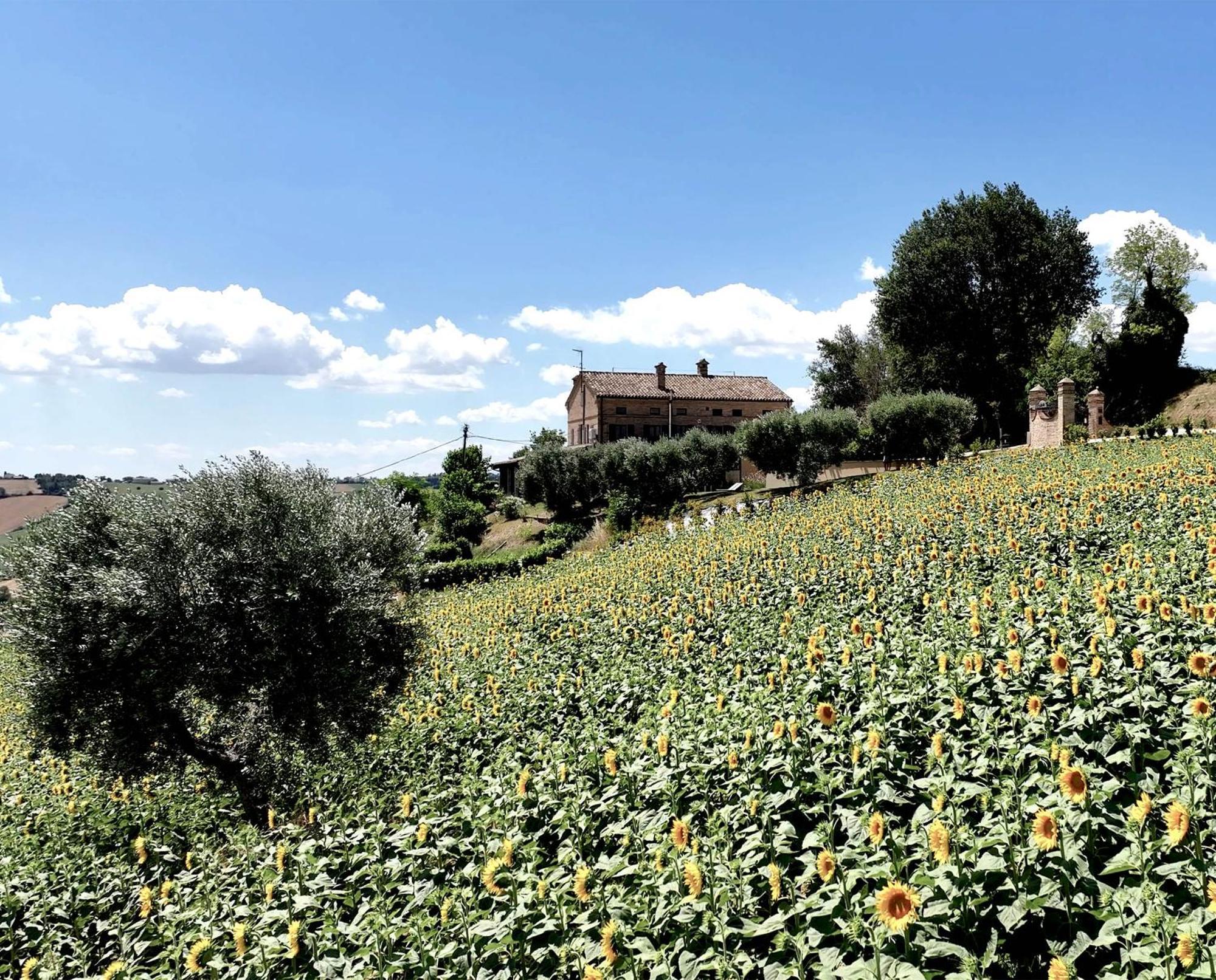 Montefano Bed And Breakfast La Vecchia Scuola מראה חיצוני תמונה